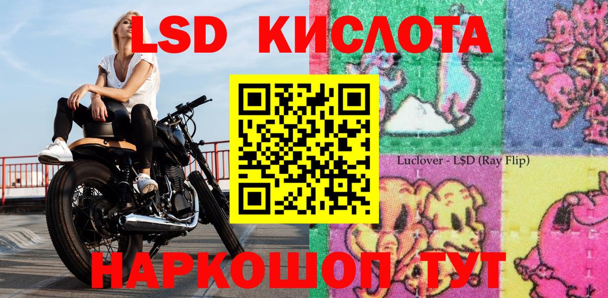 Наркотические марки 1,5мг Кингисепп