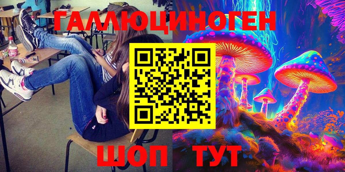 Галлюциногенные грибы Psilocybe  Псилоцибиновые грибы прущие грибы  купить наркотики сайты  Вход с VPN  Кингисепп 